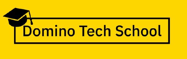 Domino Tech School
